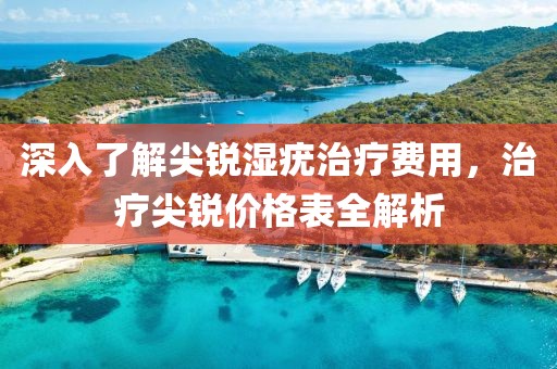 深入了解尖銳濕疣治療費(fèi)用，治療尖銳價(jià)格表全解析