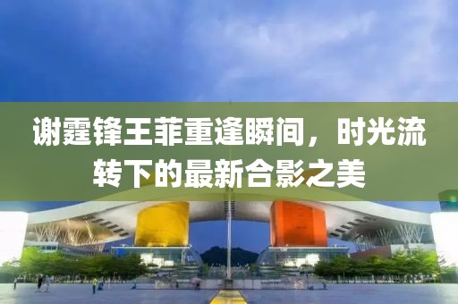 謝霆鋒王菲重逢瞬間，時(shí)光流轉(zhuǎn)下的最新合影之美