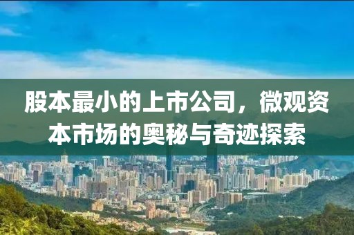 股本最小的上市公司，微觀資本市場的奧秘與奇跡探索