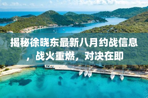 揭秘徐曉東最新八月約戰(zhàn)信息，戰(zhàn)火重燃，對決在即