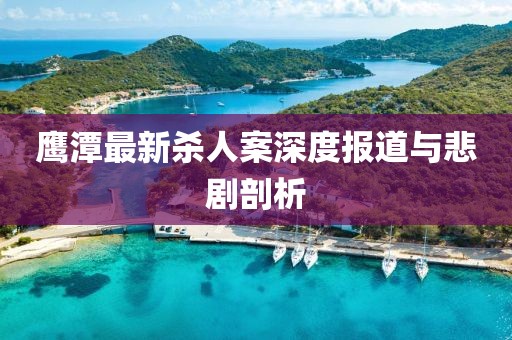 鷹潭最新殺人案深度報道與悲劇剖析