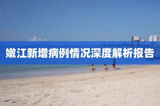 嫩江新增病例情況深度解析報(bào)告