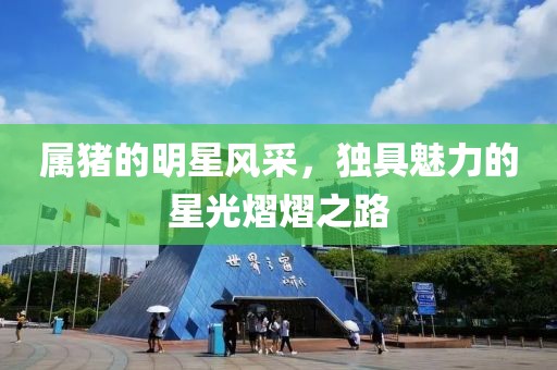 屬豬的明星風采，獨具魅力的星光熠熠之路