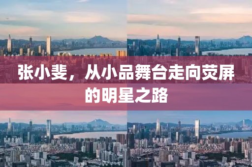 張小斐，從小品舞臺(tái)走向熒屏的明星之路