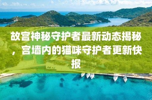 故宮神秘守護者最新動態(tài)揭秘，宮墻內(nèi)的貓咪守護者更新快報