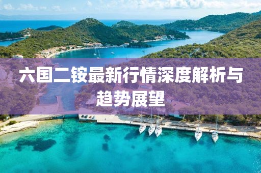 六國(guó)二銨最新行情深度解析與趨勢(shì)展望