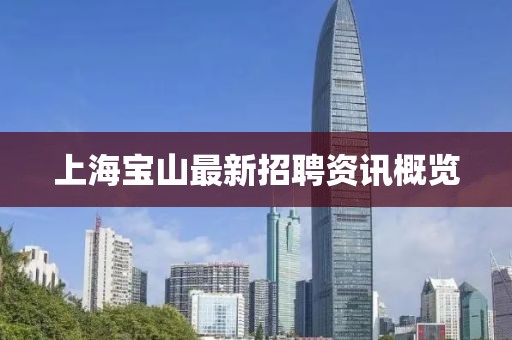 上海寶山最新招聘資訊概覽