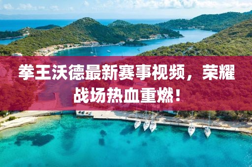 拳王沃德最新賽事視頻，榮耀戰(zhàn)場(chǎng)熱血重燃！