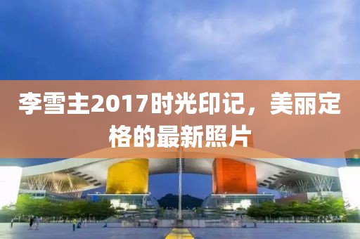 李雪主2017時光印記，美麗定格的最新照片