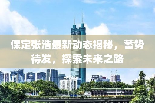 保定張浩最新動(dòng)態(tài)揭秘，蓄勢待發(fā)，探索未來之路