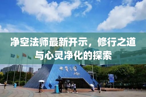 凈空法師最新開示，修行之道與心靈凈化的探索
