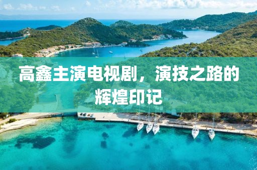 高鑫主演電視劇，演技之路的輝煌印記