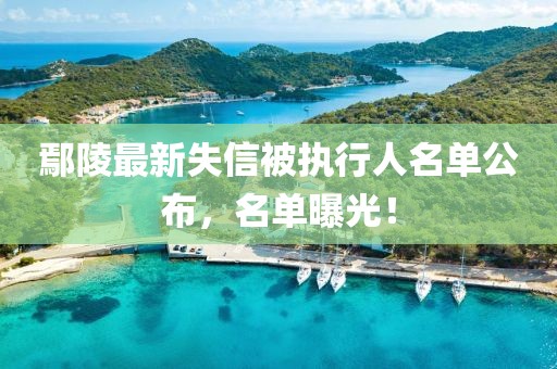 鄢陵最新失信被執(zhí)行人名單公布，名單曝光！