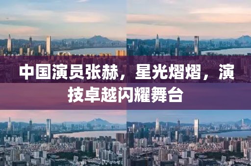 中國(guó)演員張赫，星光熠熠，演技卓越閃耀舞臺(tái)