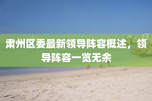 肅州區(qū)委最新領導陣容概述，領導陣容一覽無余