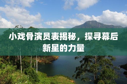 小戲骨演員表揭秘，探尋幕后新星的力量