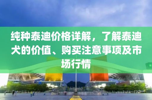 純種泰迪價格詳解，了解泰迪犬的價值、購買注意事項及市場行情