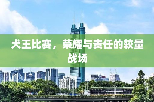 犬王比賽，榮耀與責任的較量戰(zhàn)場