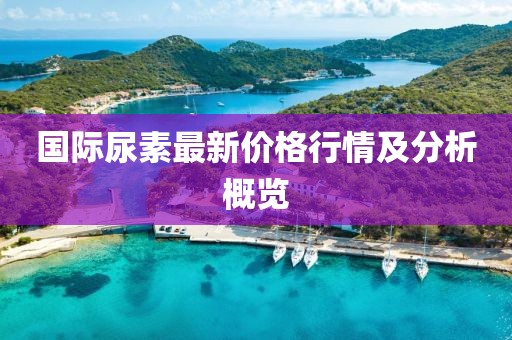 國際尿素最新價格行情及分析概覽