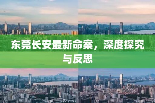 東莞長安最新命案，深度探究與反思