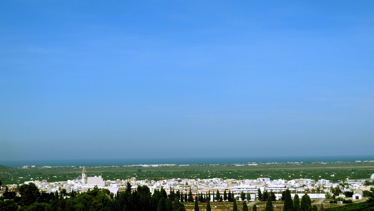 股票成交，市場動態(tài)的心臟跳動