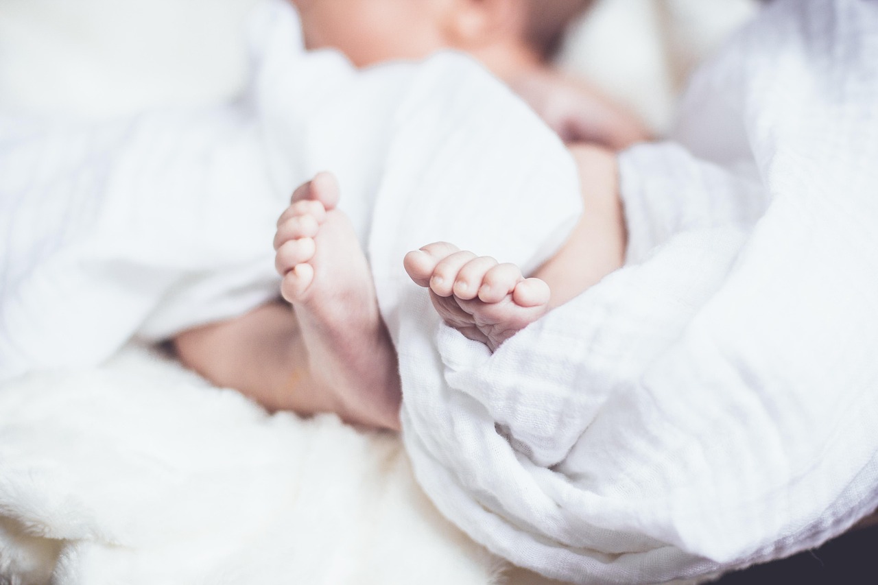 探索幼兒成長(zhǎng)的無限可能，最新幼兒教育隨筆薈萃