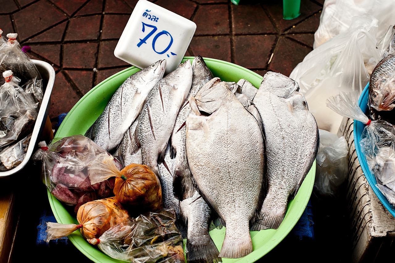 魚粉價格的市場波動及影響因素解析
